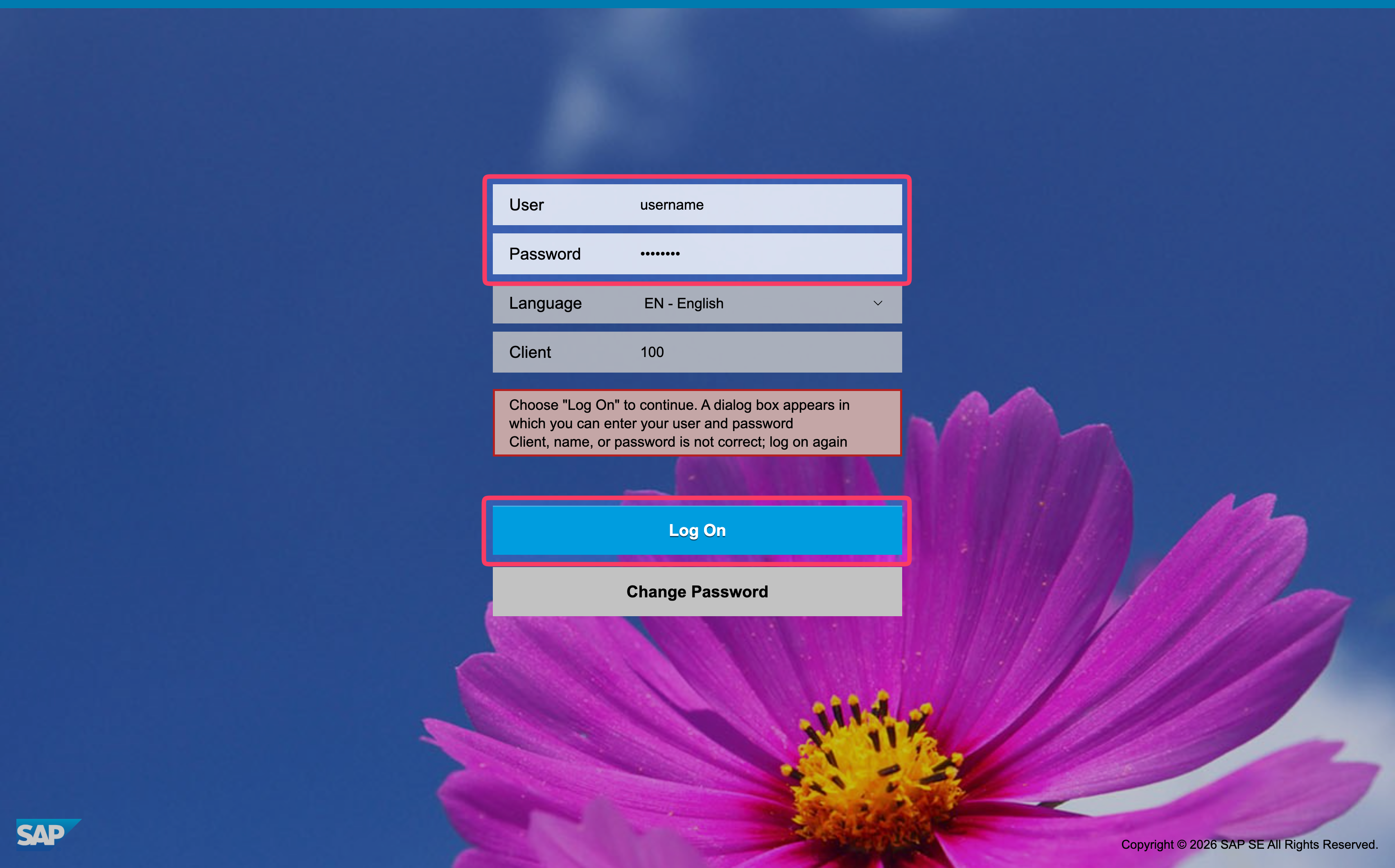 SAP login page